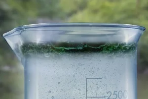 fotografia de aguan en un vaso de precipitados con musgo. la imagen de tu marca
